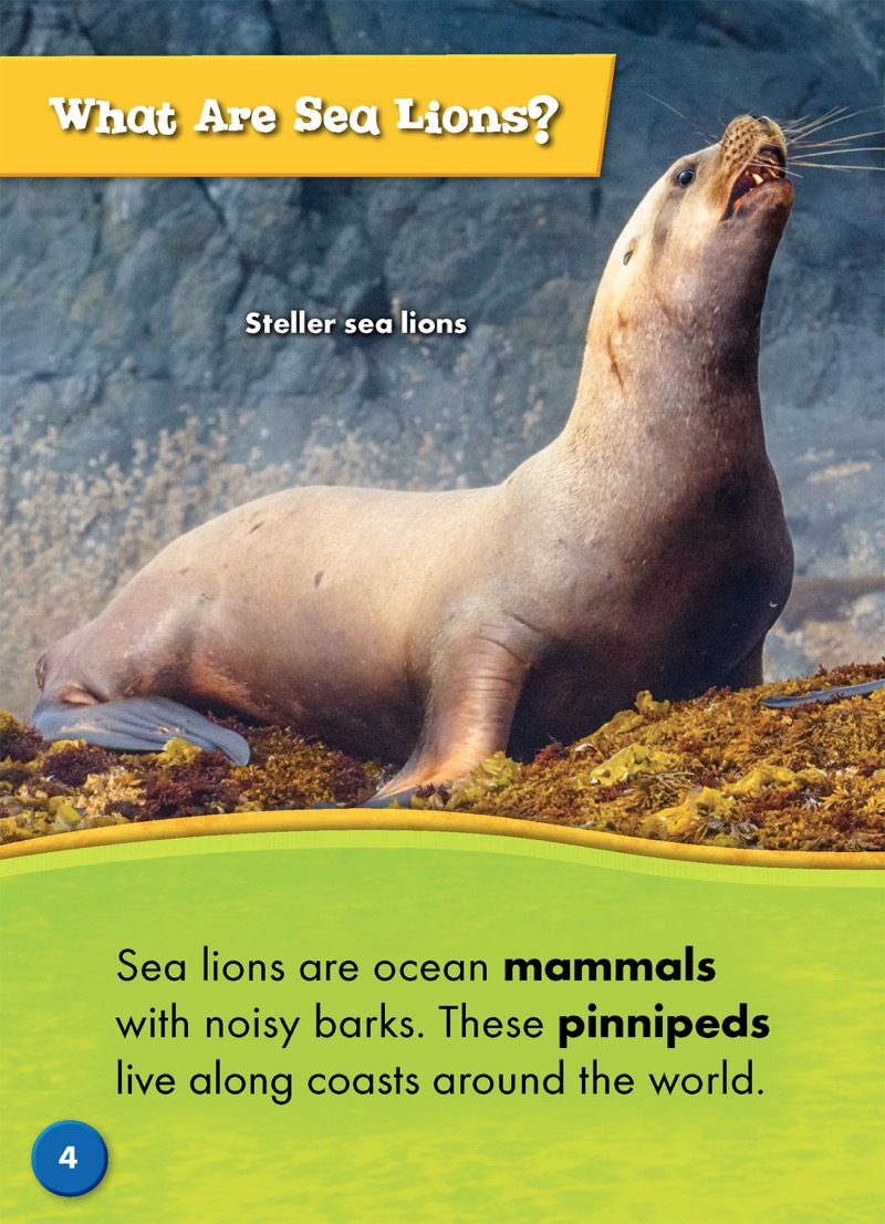 Sea Lions — page 1