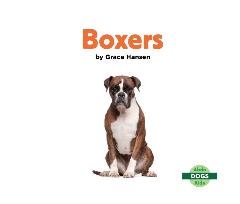 Boxers book cover