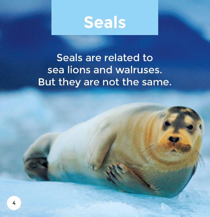 Seals — page 1