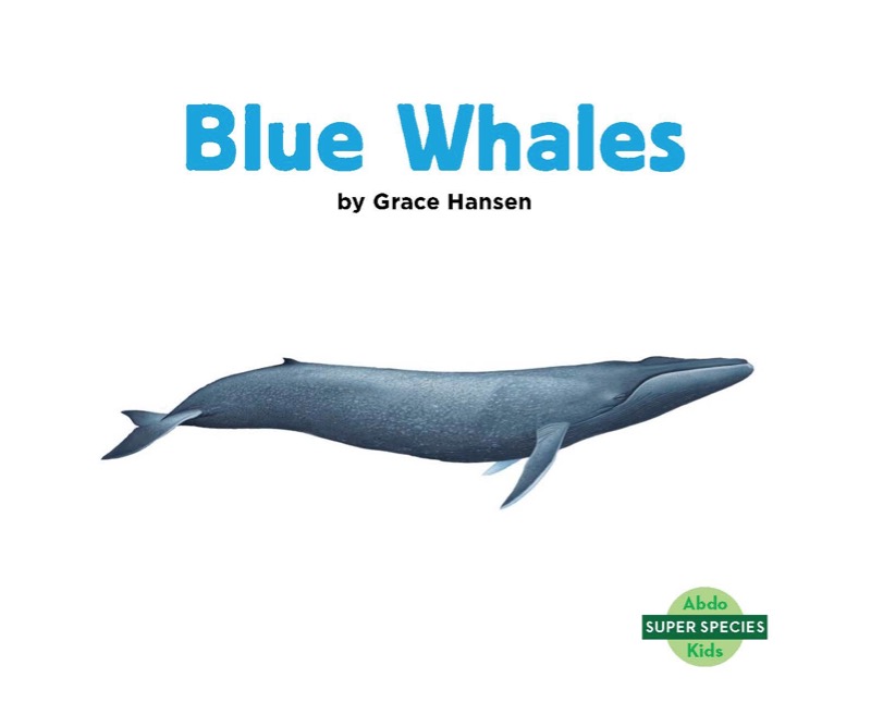 Blue Whales book cover