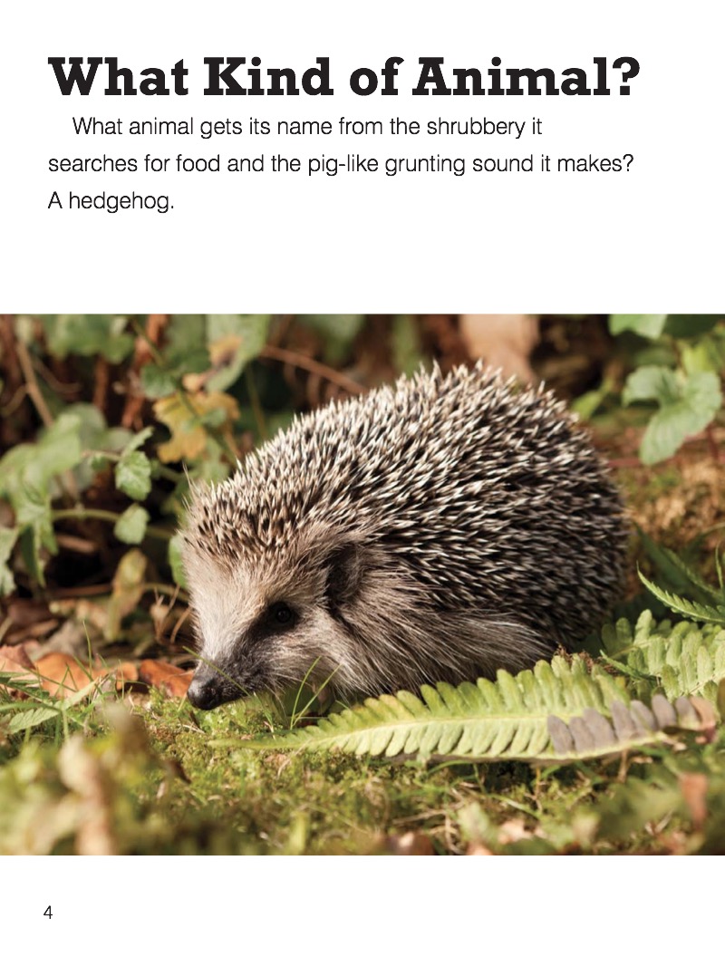 Hedgehog — page 1