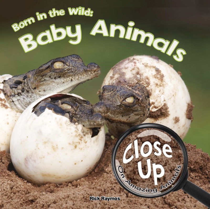 Born in the Wild: Baby Animals book cover