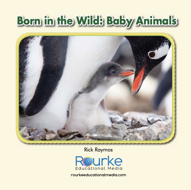Born in the Wild: Baby Animals — page 1
