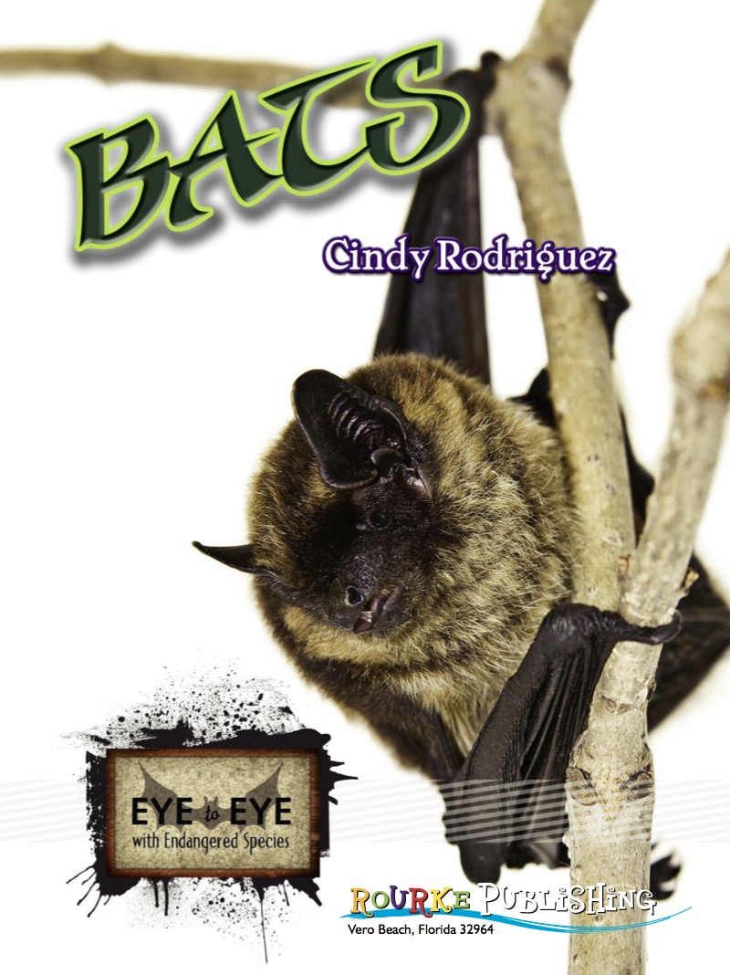 Bats book cover