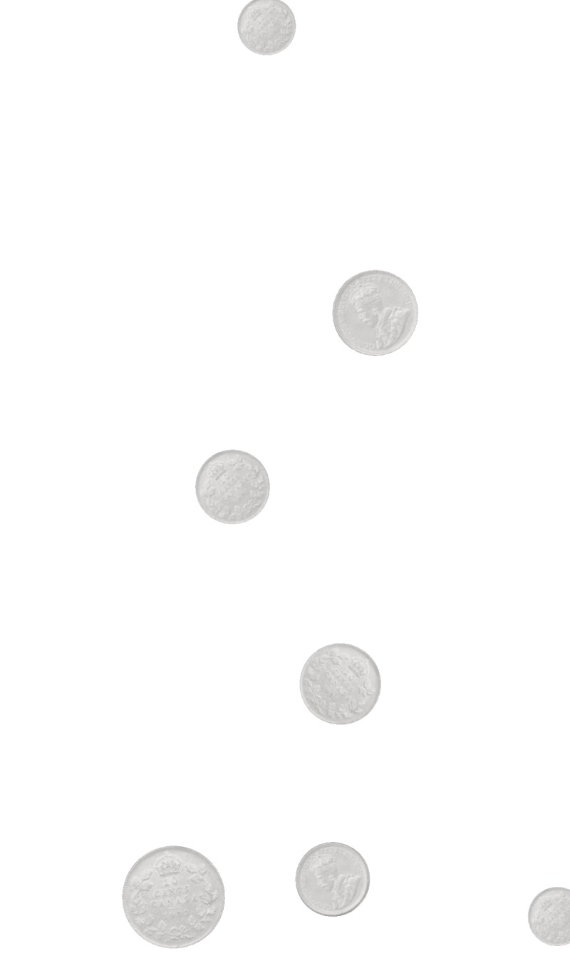 Silver Rain book cover