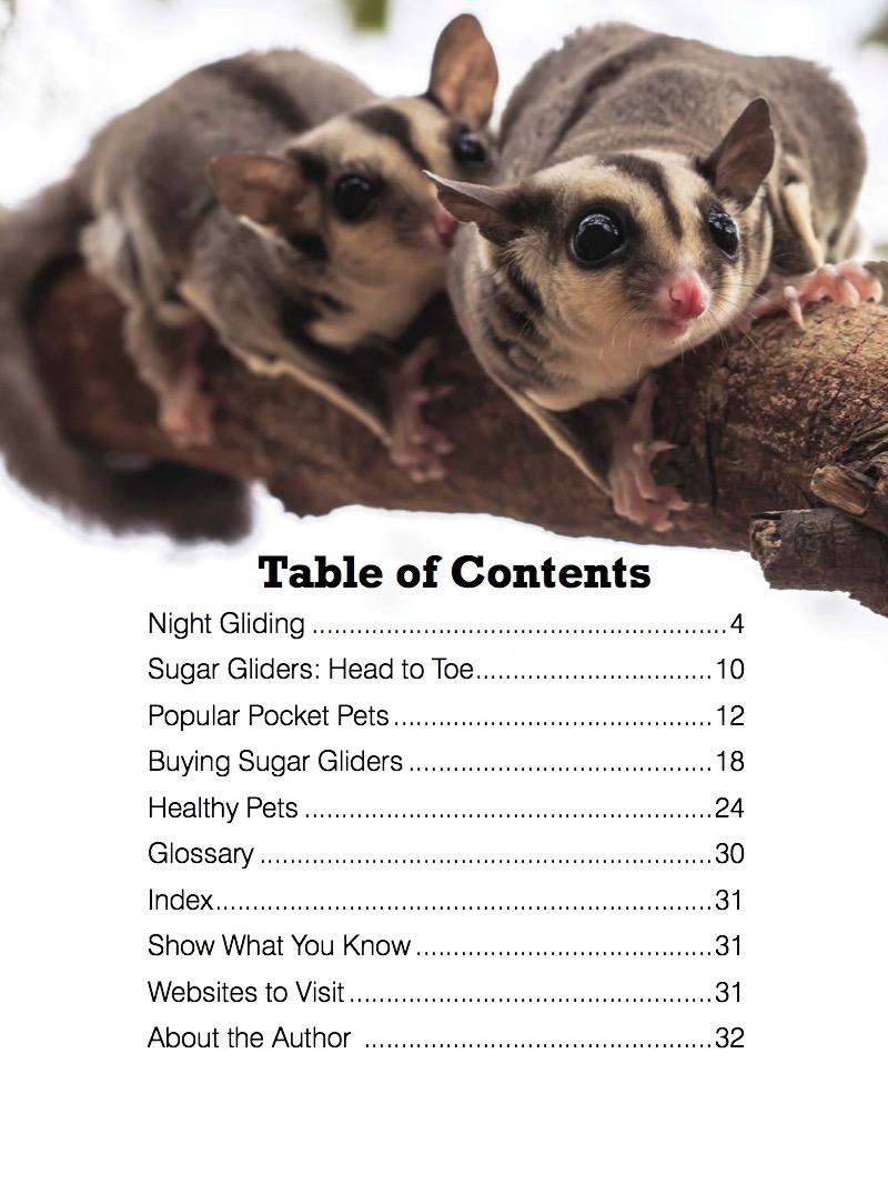 Sugar Glider book cover