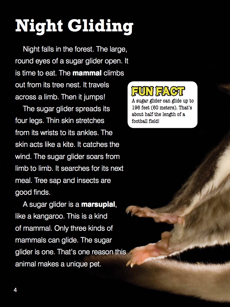 Sugar Glider — page 1