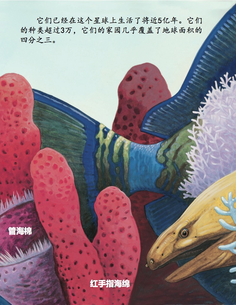 鱼 — page 1