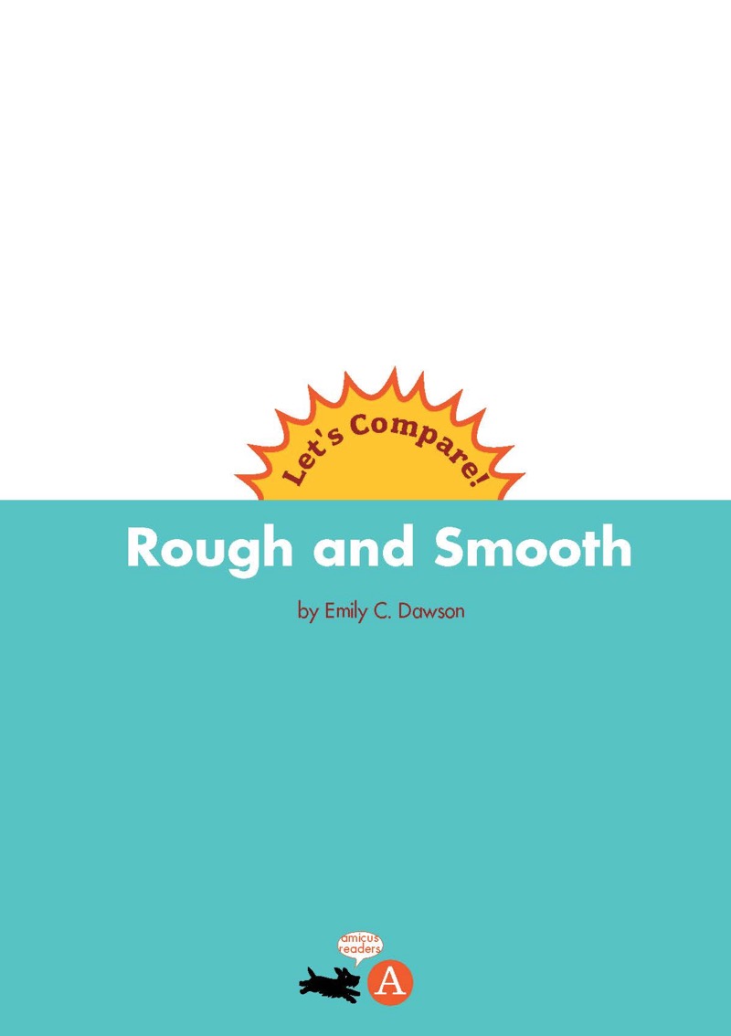 Rough and Smooth book cover