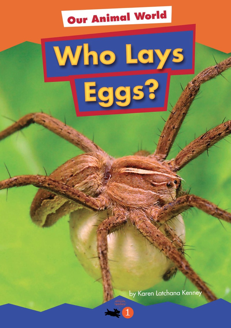 Who Lays Eggs? book cover