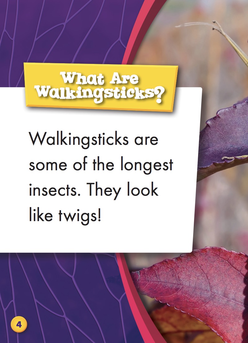 Walkingsticks — page 1