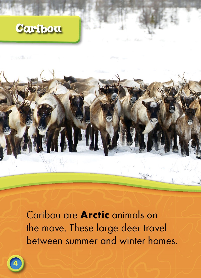 Caribou Migration — page 1
