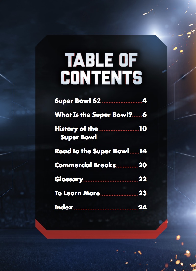 The Super Bowl book cover