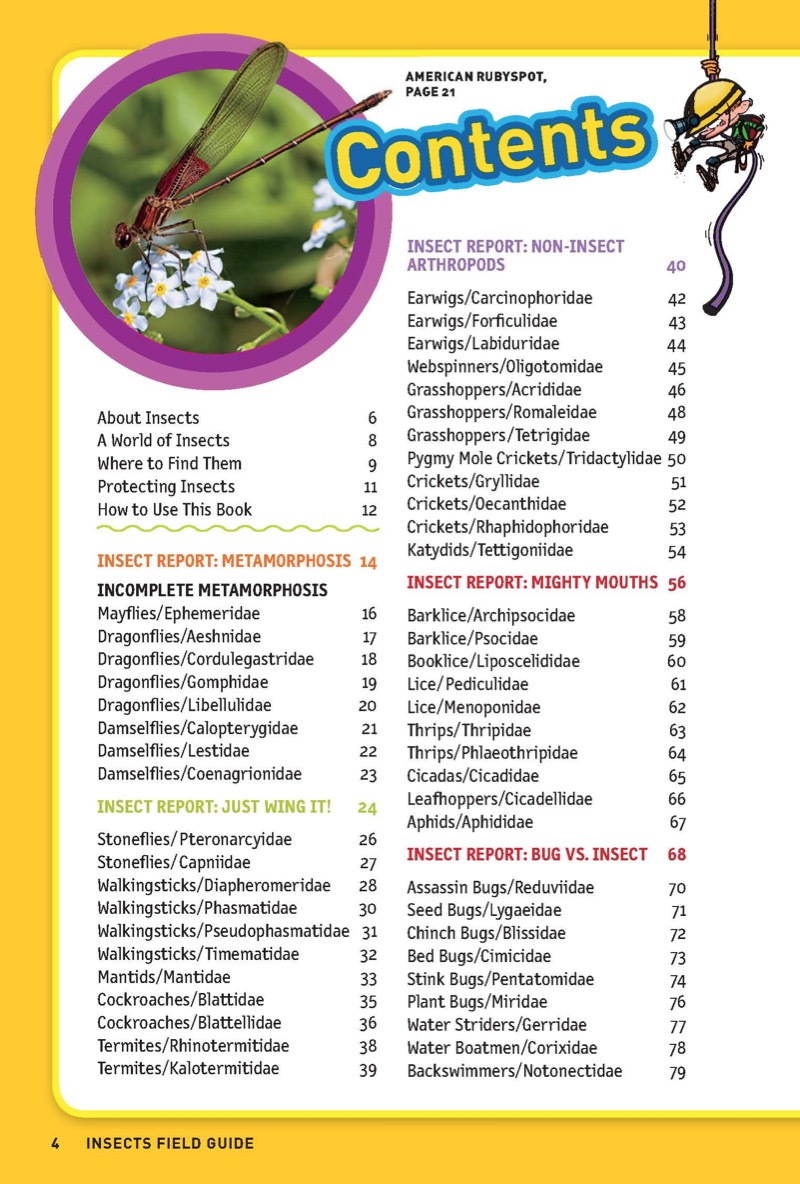 Ultimate Explorer Field Guide: Insects — page 3