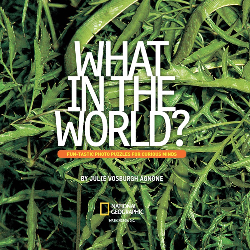 What in the World? — page 1