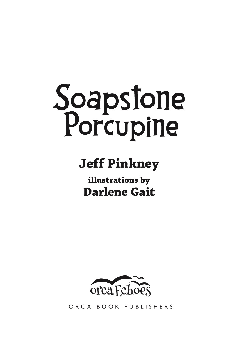 Soapstone Porcupine book cover