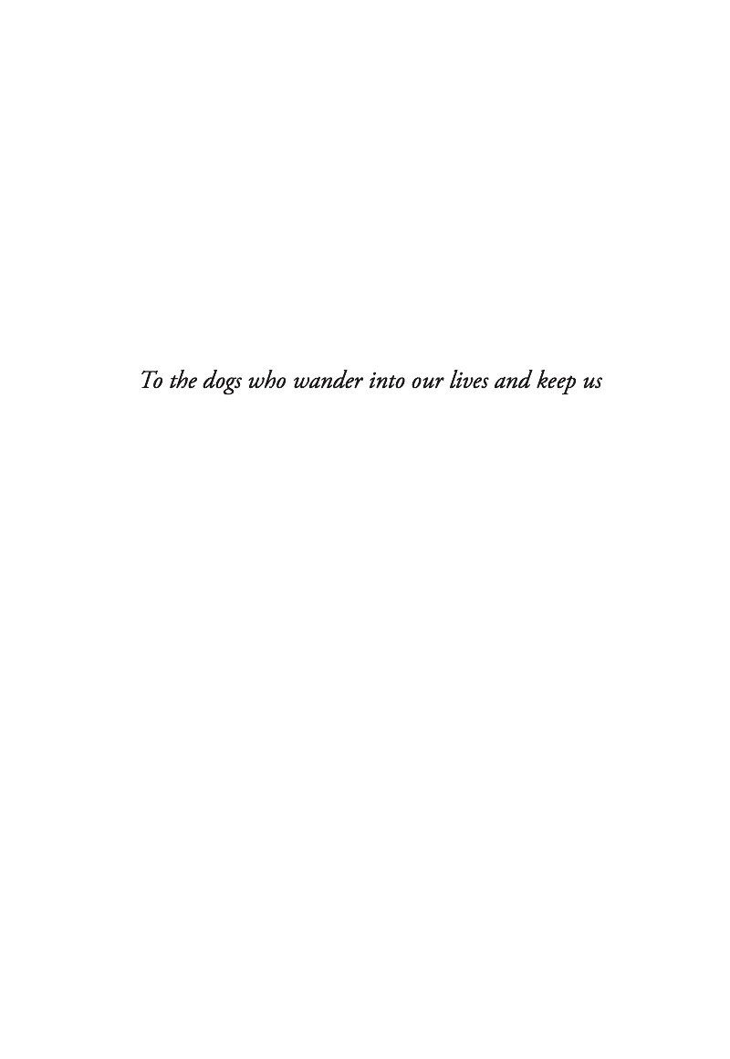 Soapstone Porcupine — page 1