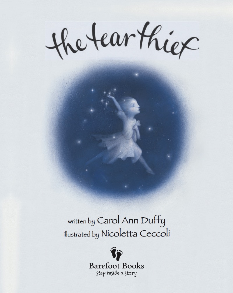 The Tear Thief book cover