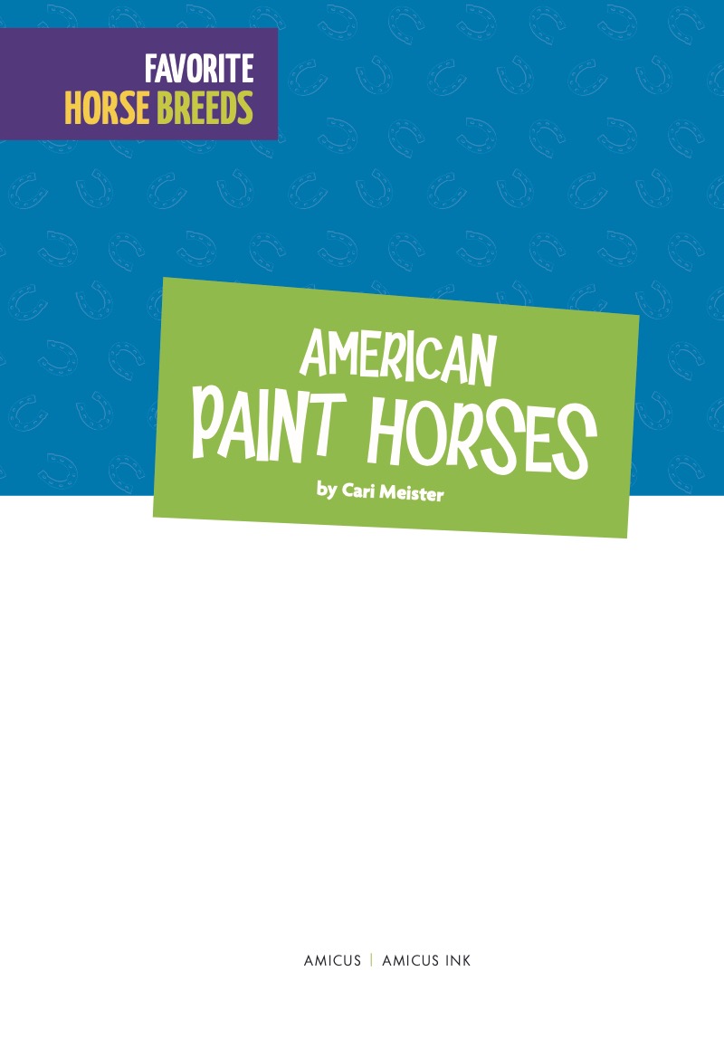 American Paint Horses book cover