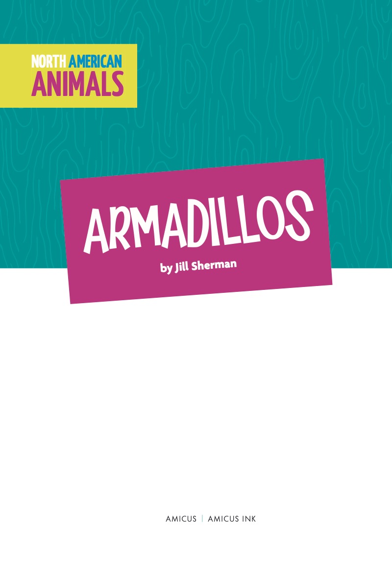 Armadillos book cover