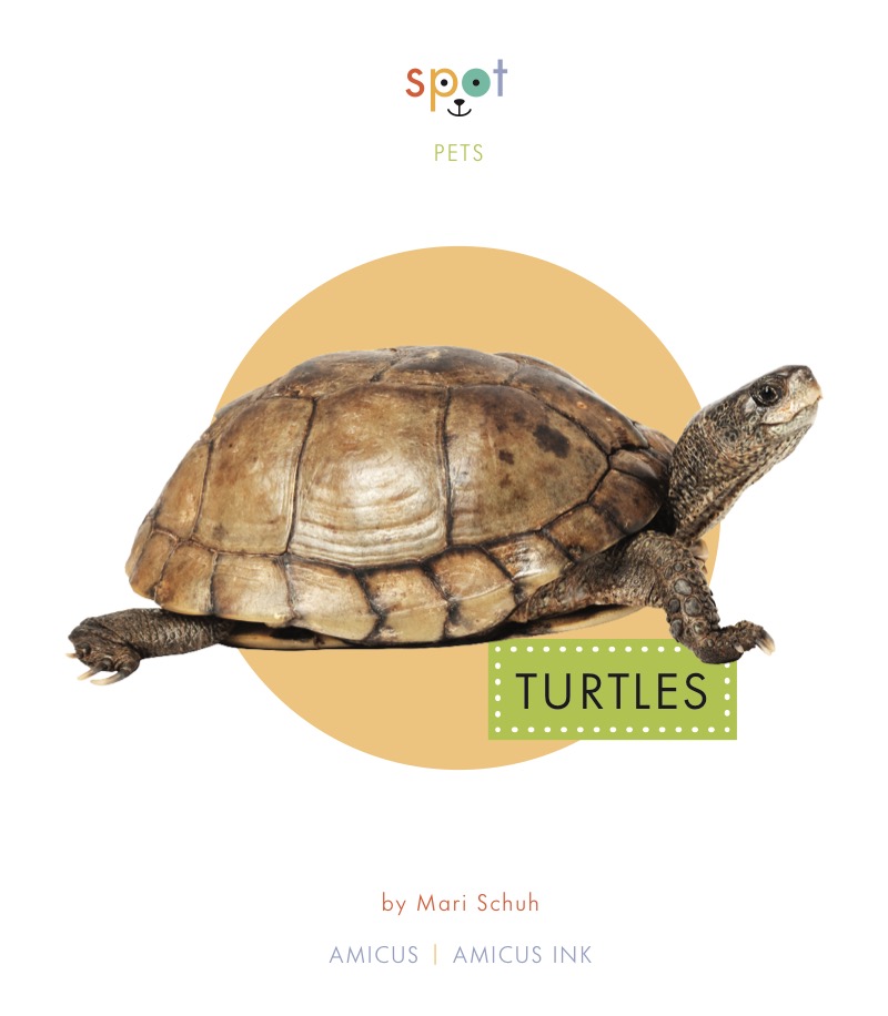 Turtles book cover