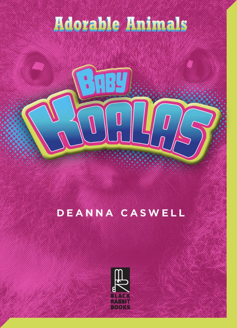 Baby Koalas book cover