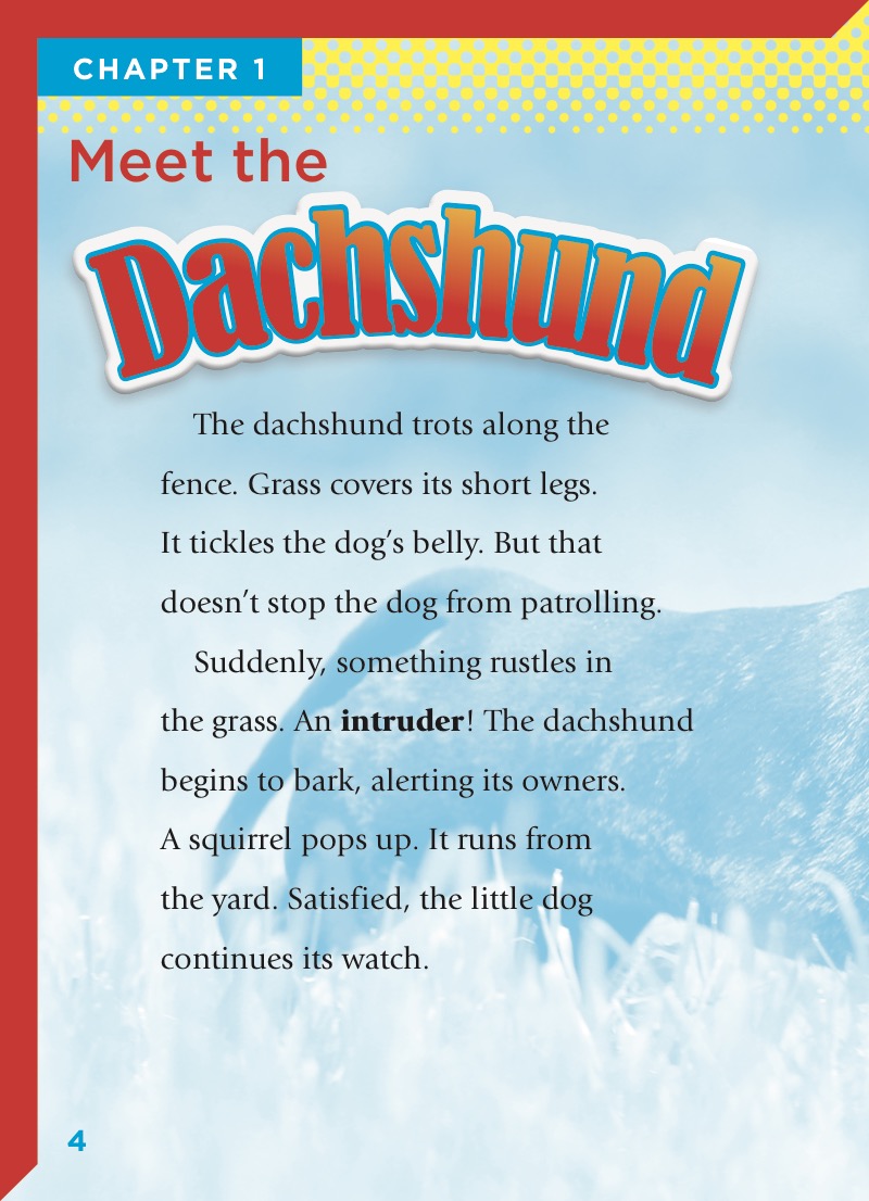 Dachshunds — page 1