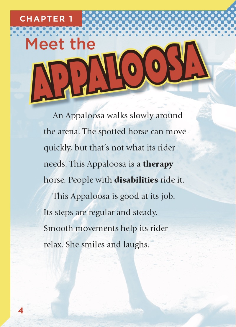 Appaloosa Horses — page 1