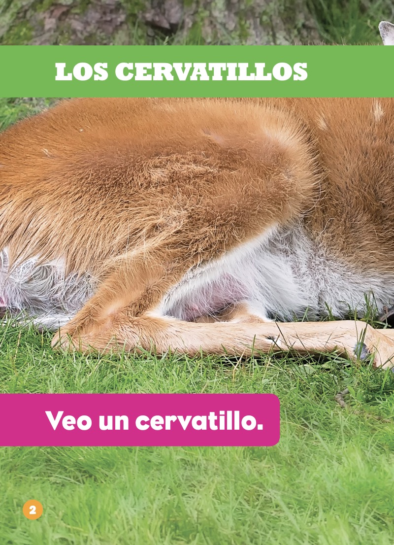 Los cervatillos — page 1