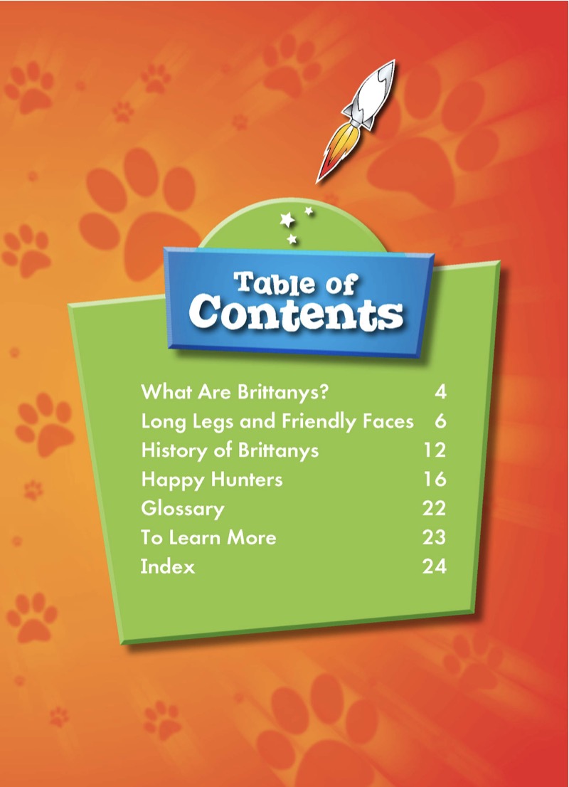 Brittanys book cover