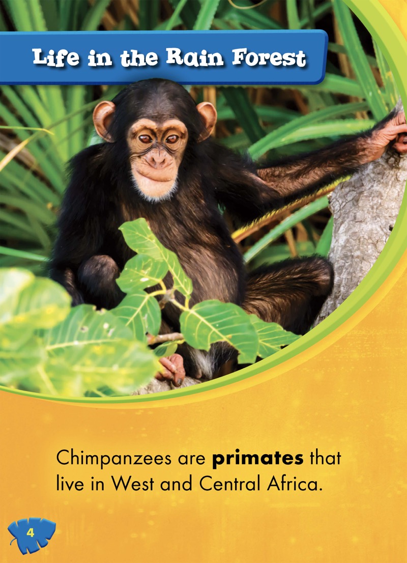 Chimpanzees — page 1
