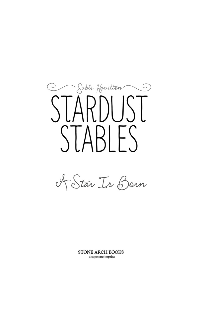 Stardust Stables: A Star Is Born book cover