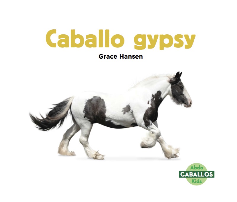 Caballo gypsy book cover