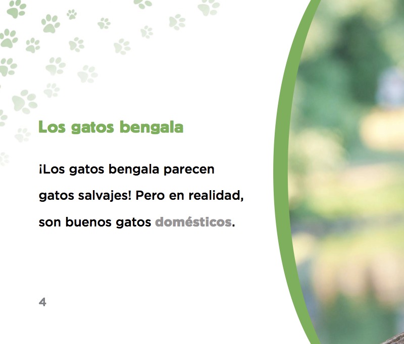 Gato bengala — page 1