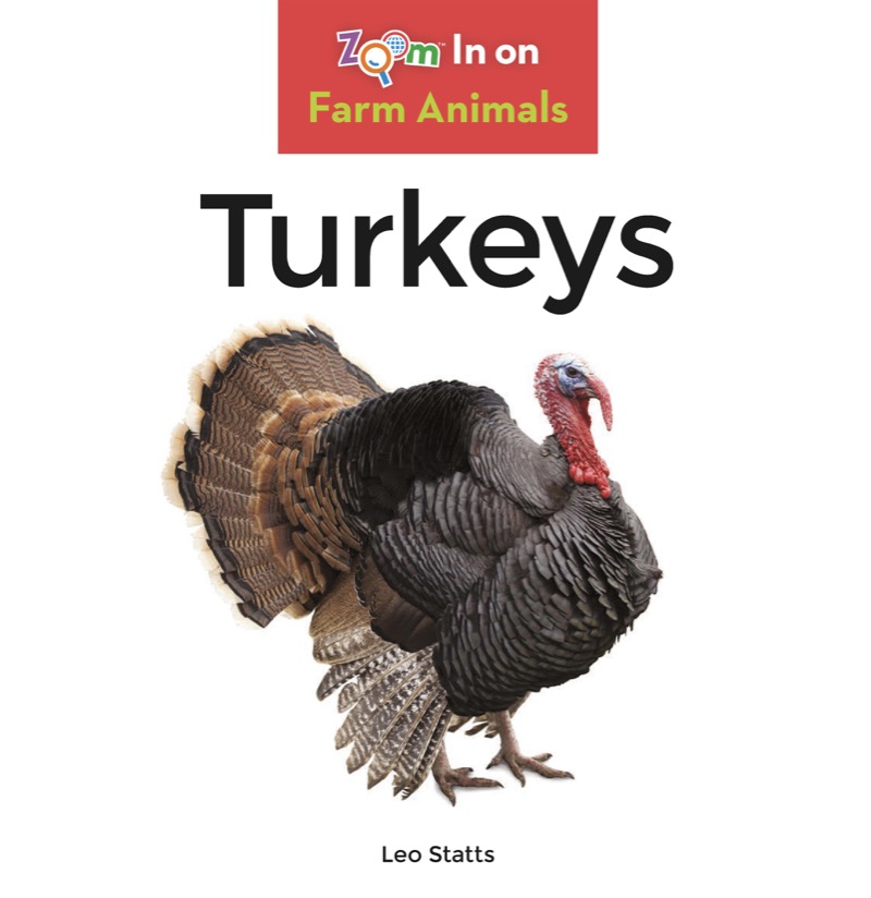 Turkeys book cover