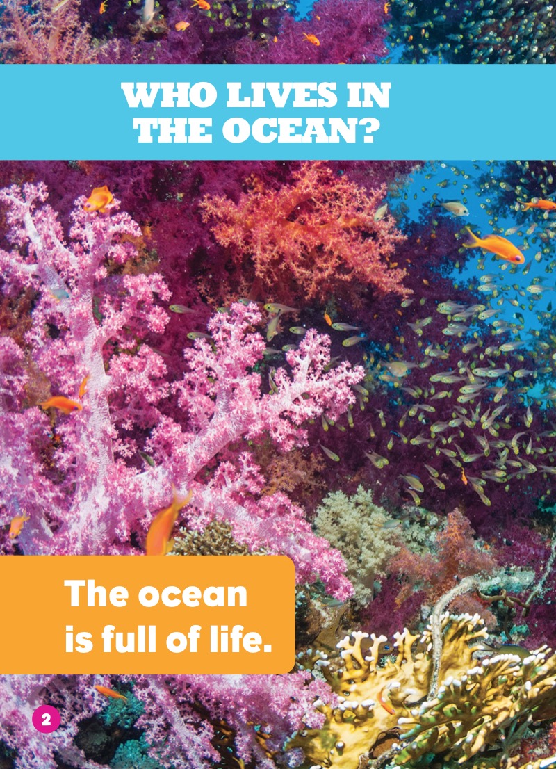 Who Lives in the Ocean? — page 1