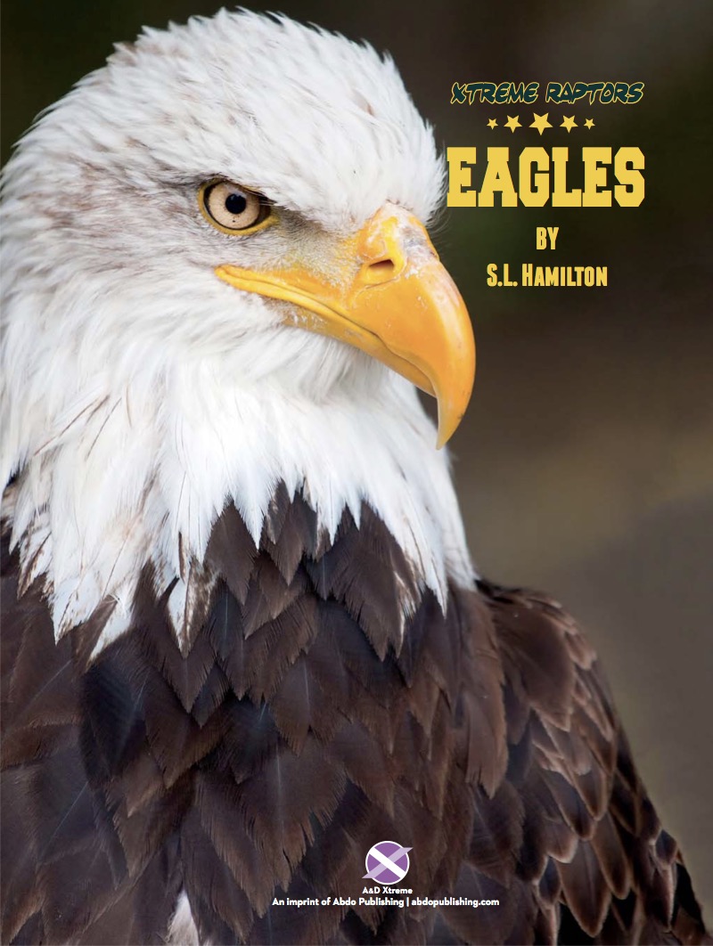 Eagles book cover