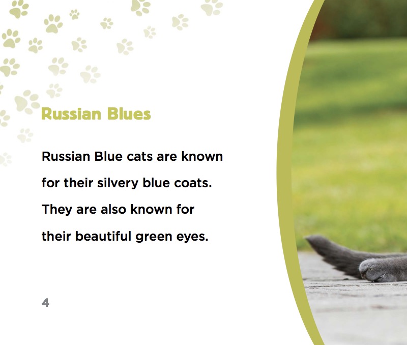 Russian Blue Cats — page 1