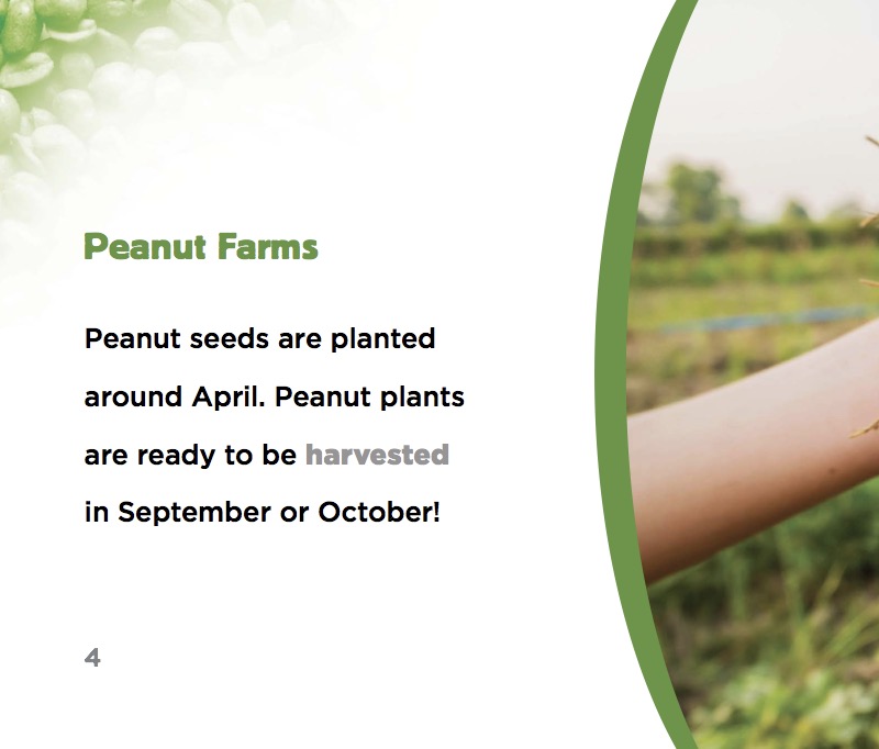 How Is Peanut Butter Made? — page 1