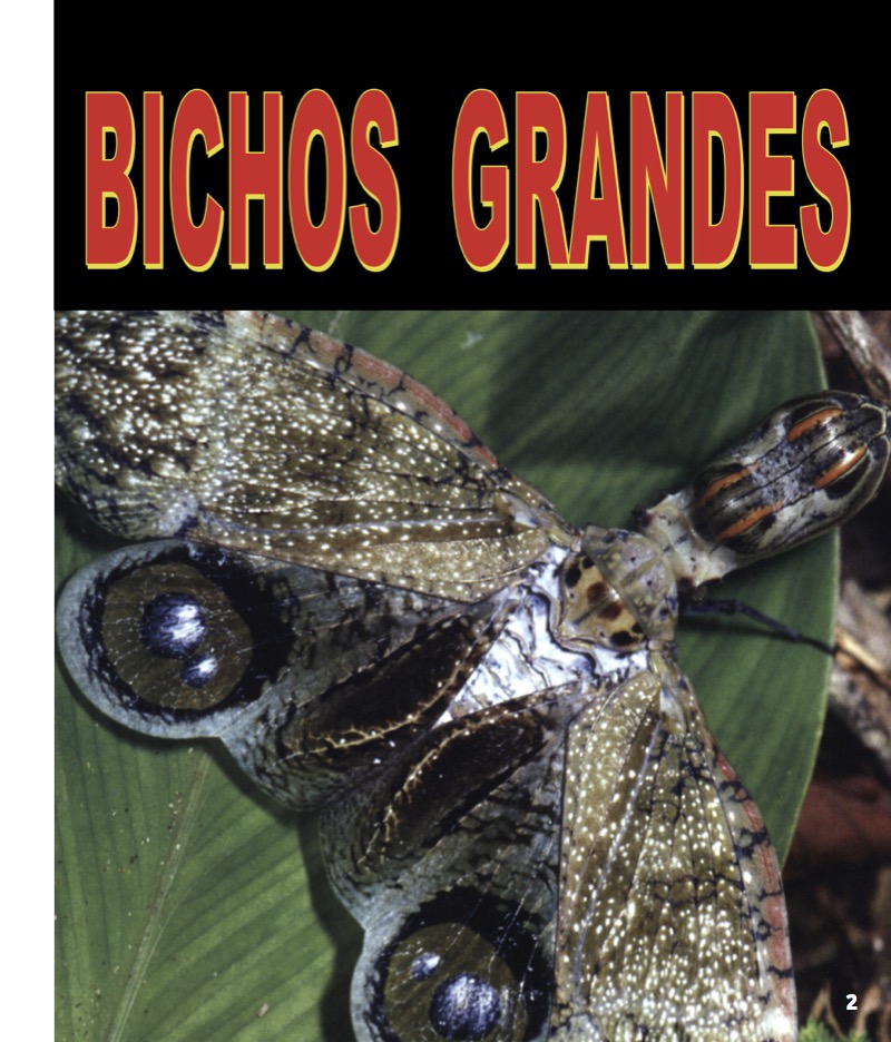 Bichos Grandes book cover