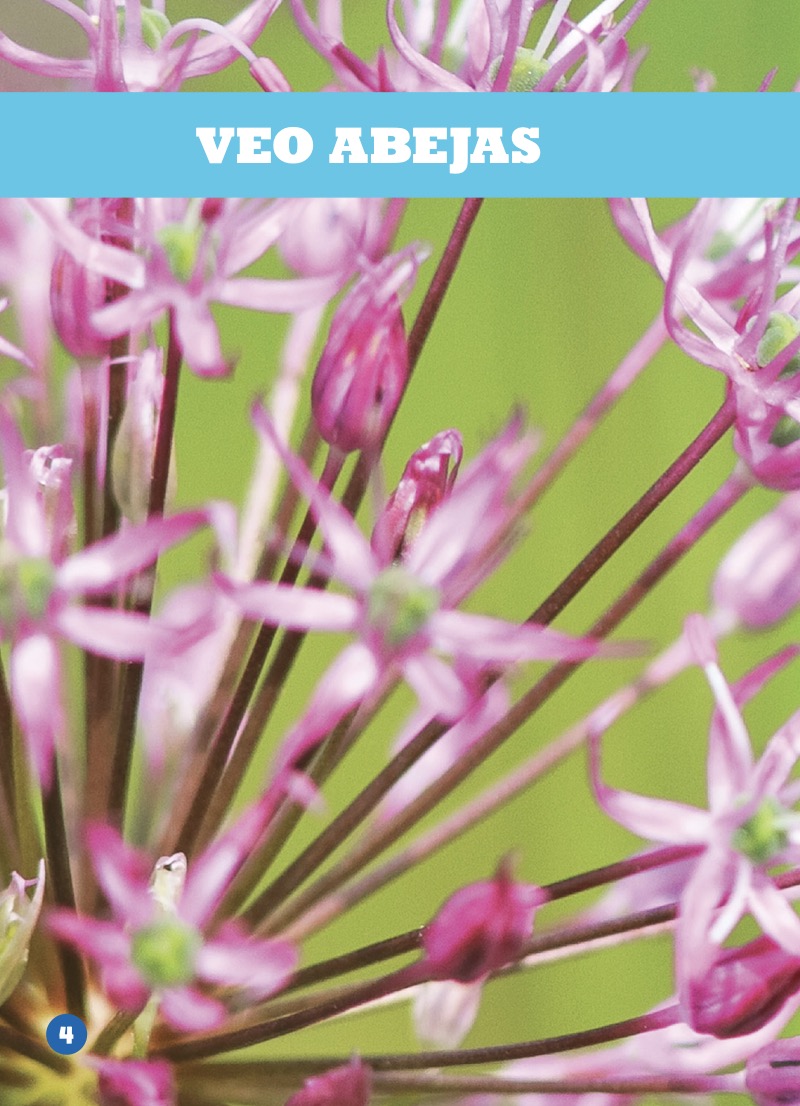 Veo abejas (I See Bees) — page 1