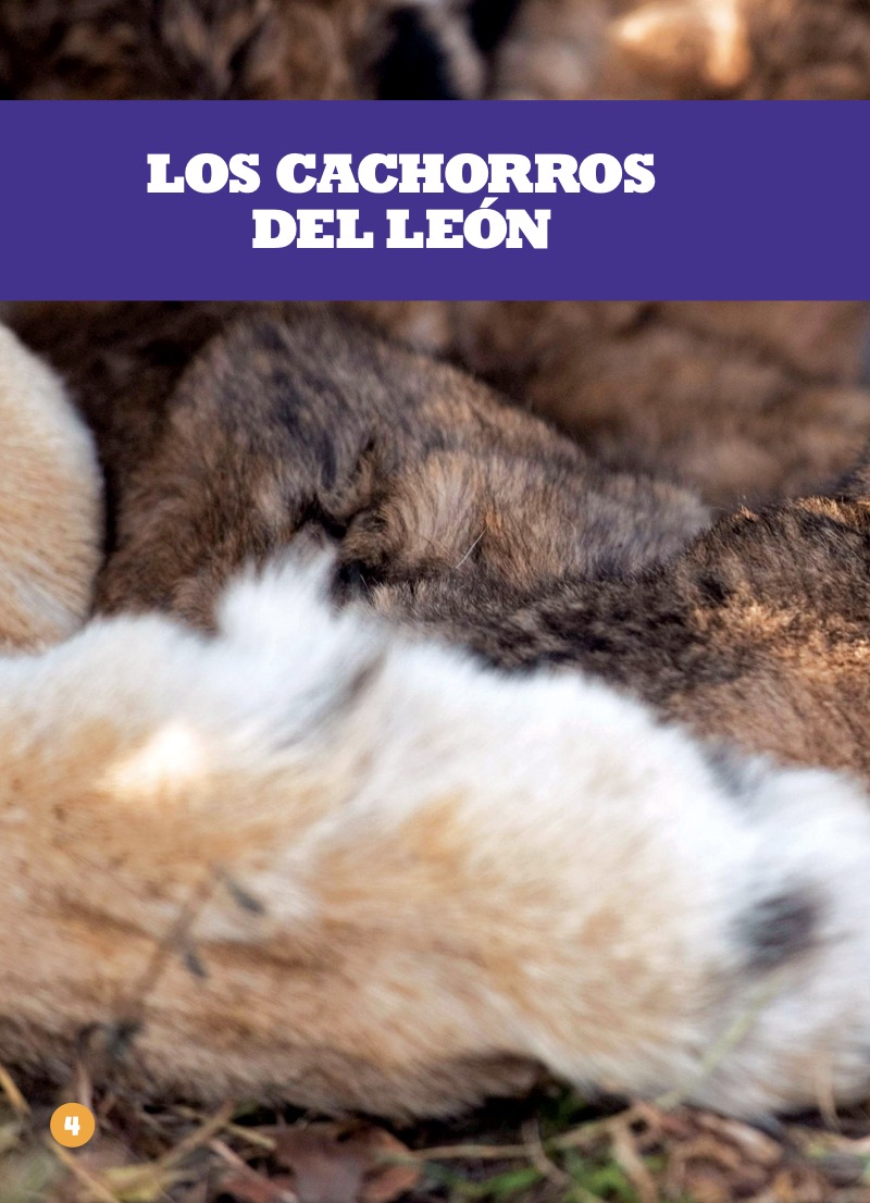 Los cachorros del león (Lion Cubs) — page 1