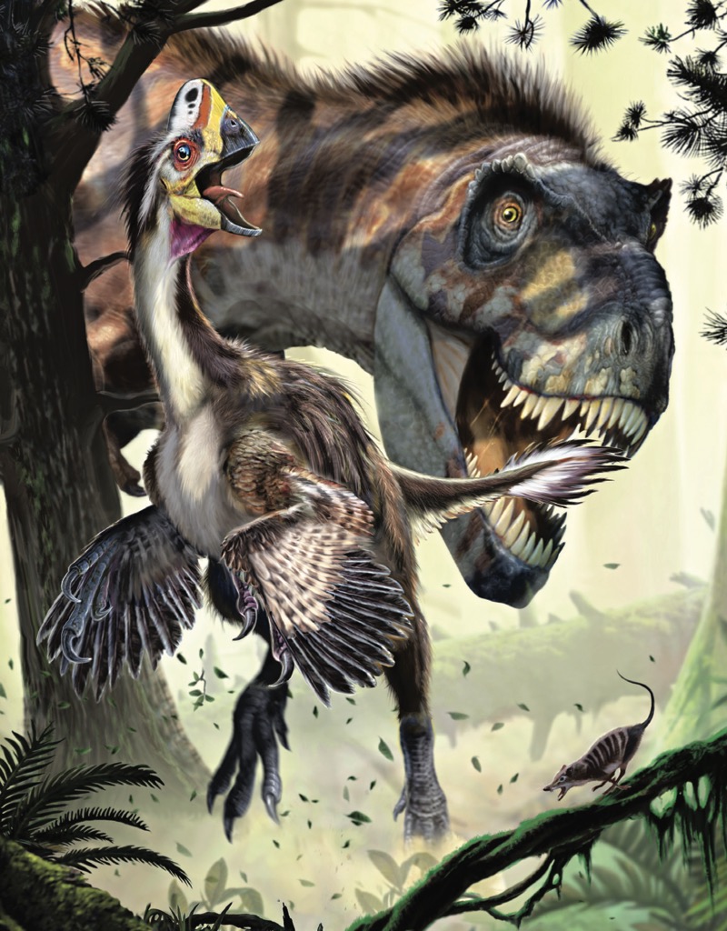 Absolute Expert: Dinosaurs book cover
