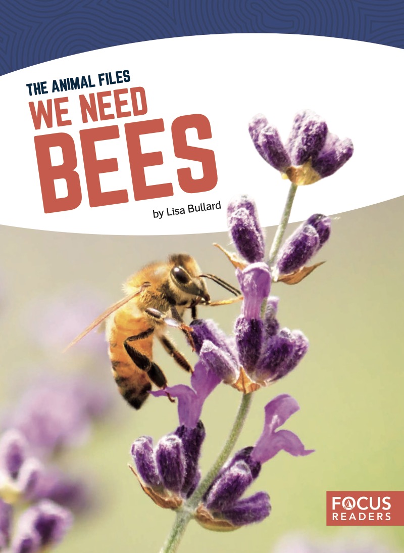 We Need Bees book cover