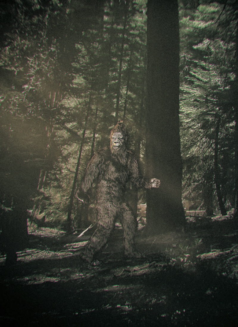 Mythical Creatures: Bigfoot — page 1