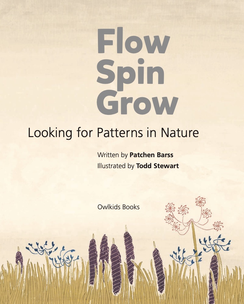 Flow, Spin, Grow book cover
