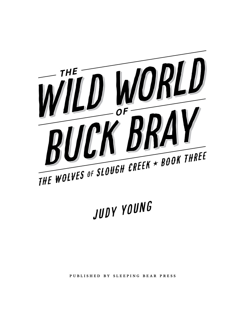 The Wild World of Buck Bray: The Wolves of Slough Creek book cover