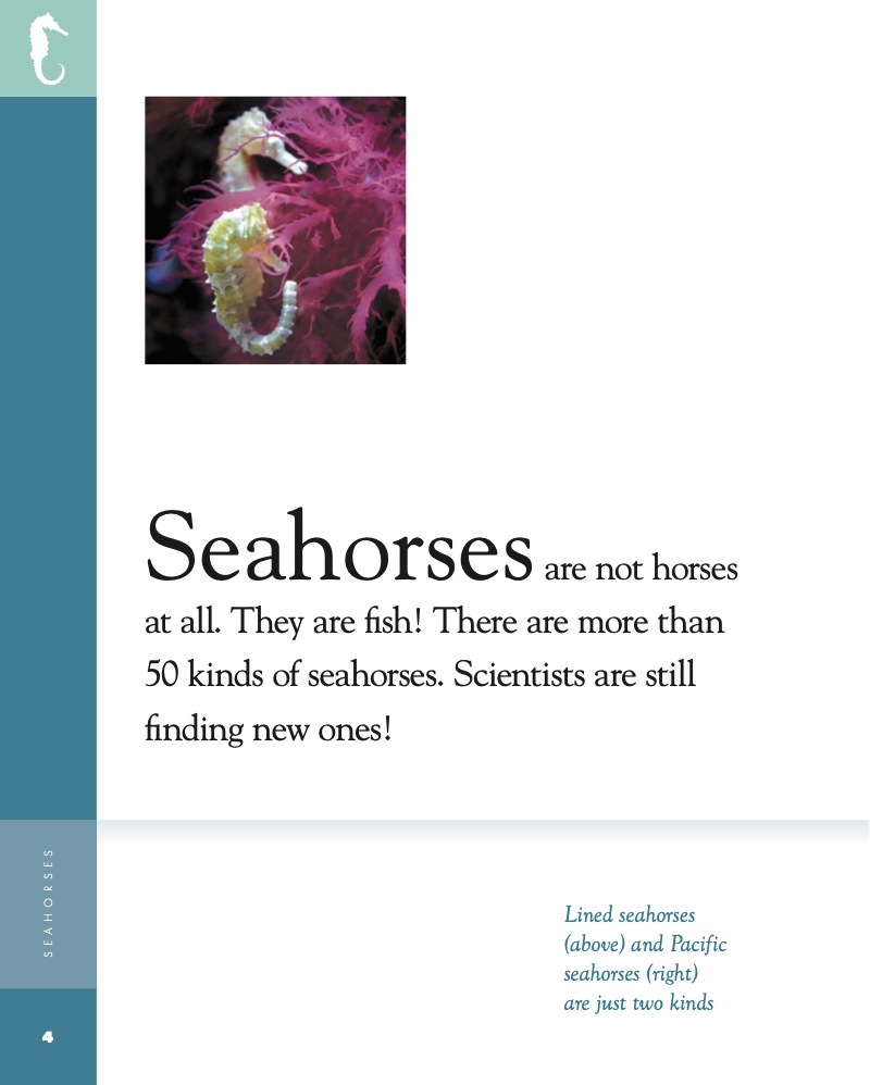 Amazing Animals: Seahorses — page 1