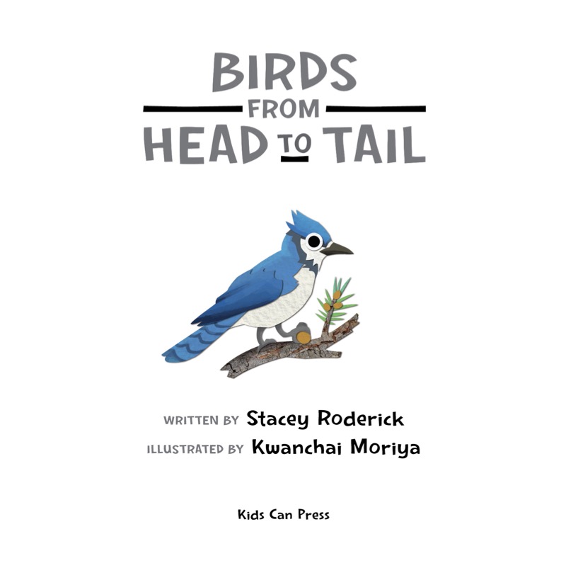 Birds from Head to Tail book cover