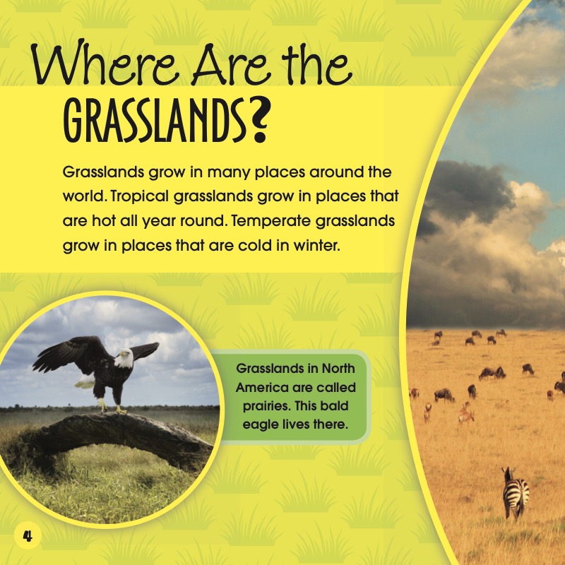 Grasslands — page 1